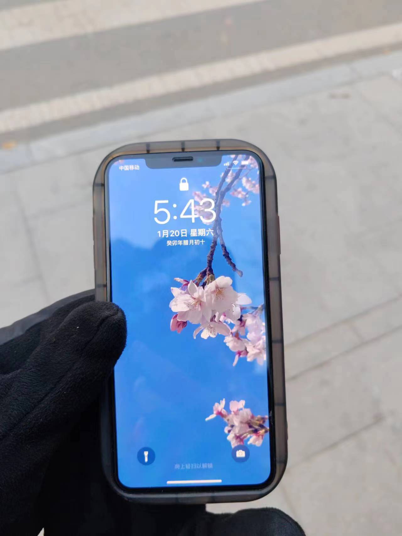 微信图片_20240120180550.jpg
