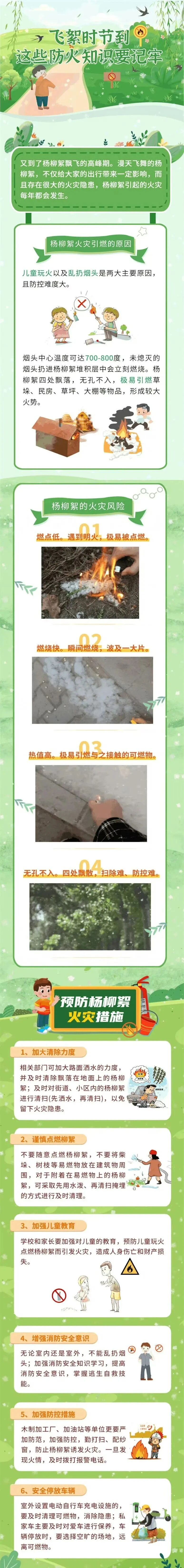01.jpg